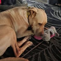 Photo of Sheila
