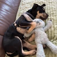 Photo of Reginald