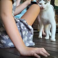 Photo of Mr Waffleton 