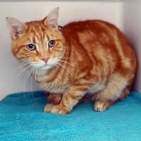 Photo of Toby Sua013811