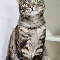 Photo of 🍧 Queenie 5290 🍧