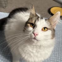 Photo of Claire