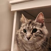 Photo of Sylvia