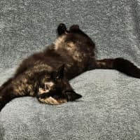 Photo of Anna