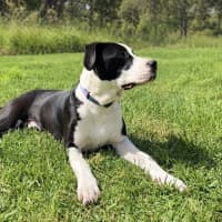 Photo of Shylah