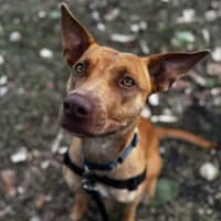 Photo of Bonny