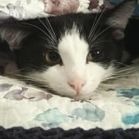 Photo of Roger