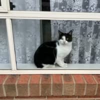 Photo of Mimi