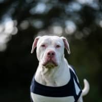 Photo of George