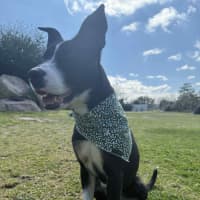 Photo of Missy