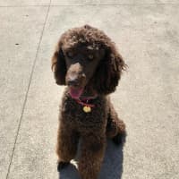 Photo of Xander