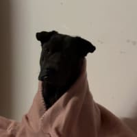 Photo of Mister And Kaydo