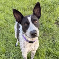Photo of Bobbi