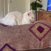 Photo of Elsa