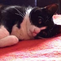 Photo of Penelope Babbington