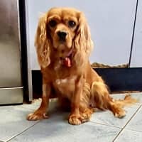 Photo of Lovely Lala 