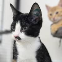 Photo of 🎀 Snapple 5746 🎀