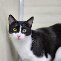 Photo of ⚓ Albie 6597 ⚓ 