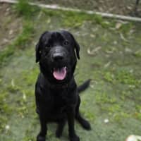 Photo of Rudy