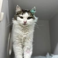 Photo of Mollly