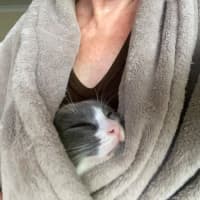 Photo of Pixie