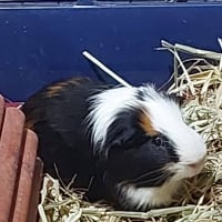 Photo of Caramel & Chocolate