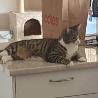 Photo of Miguel / Sarah