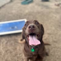 Photo of Dora
