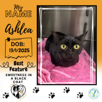 Photo of Ashlea