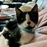 Photo of Clawdia