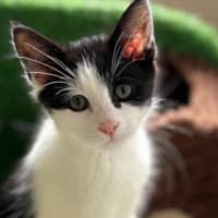 Photo of Salt & Pepper