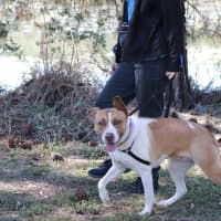 Photo of Bella
