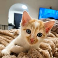 Photo of Oli