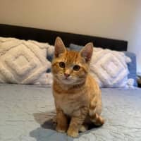 Photo of Zeus