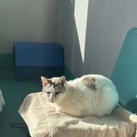 Photo of Elsa