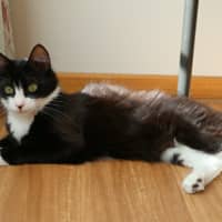 Photo of Michi
