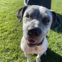 Photo of Ghost