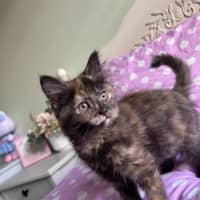 Photo of Peggy