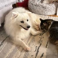 Photo of Keiko