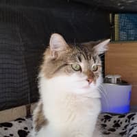 Photo of Sadie