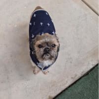 Photo of Bill