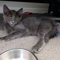 Photo of Earl Grey