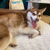 Photo of Jessie