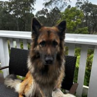 Photo of Duke