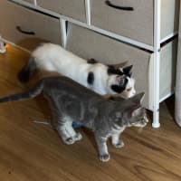 Photo of Hugh And Imogen 