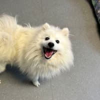 Photo of Billy