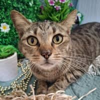 Photo of Tonka