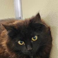 Photo of 🍫 Malteaser 5469 🍫