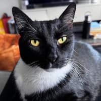 Photo of Jesse 