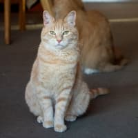 Photo of Sally & Denny